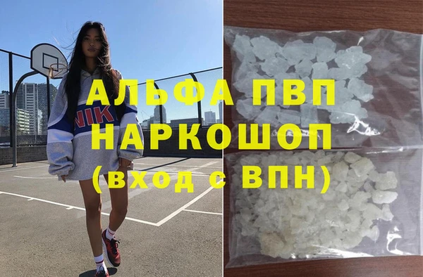 прущие грибы Алзамай